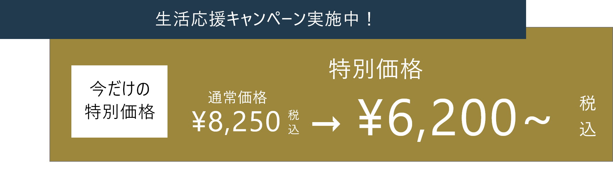 生活応援キャンペーン実施中！今だけの特別価格通常価格税込8250円から特別価格税込6200円